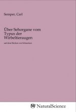 Über Sehorgane vom Typus der Wirbeltieraugen