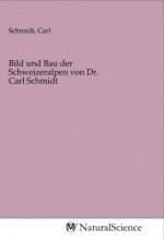 Bild und Bau der Schweizeralpen von Dr. Carl Schmidt
