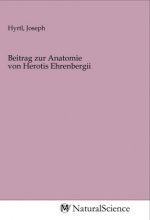 Beitrag zur Anatomie von Herotis Ehrenbergii