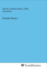 Soziale Essays
