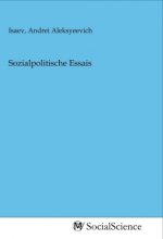 Sozialpolitische Essais