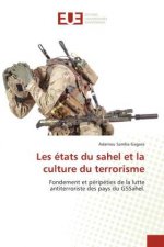 Les etats du sahel et la culture du terrorisme