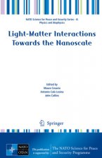 Light-Matter Interactions Towards the Nanoscale
