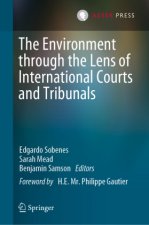Environment Through the Lens of International Courts and Tribunals