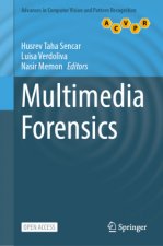Multimedia Forensics