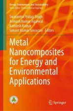Metal Nanocomposites for Energy and Environmental Applications