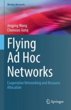 Flying Ad Hoc Networks