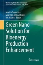 Green Nano Solution for Bioenergy Production Enhancement