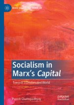 Socialism in Marx's Capital