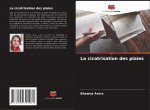 La cicatrisation des plaies