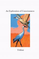 Exploration of Consciousness V