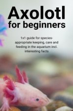 Axolotl for beginners