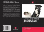 ABORDAGENS ATUAIS DAS LUXAÇ?ES DE QUADRIL EM C?ES