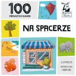 Na spacerze. 100 pierwszych słówek. Kapitan Nauka wyd. 2