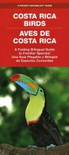Costa Rica Birds / Aves de Costa Rica: A Folding Pocket Guide to Familiar Species / Una Guía Plegable Portátil de Especies Conocidas