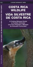 Costa Rica Wildlife / Vida Silvestre de Costa Rica: A Folding Pocket Guide to Familiar Animals / Una Guía Plegable Portátil de Animales Conocidas