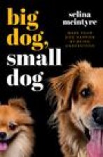 Big Dog Small Dog