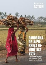 Panorama de la Pobreza Energética 2019: de Lo Local a Lo Nacional