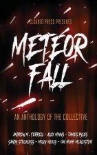 Meteor Fall