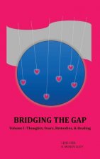 Bridging the Gap
