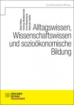 Alltagswissen, Wirtschaftswissen und sozioökonomische Bildung