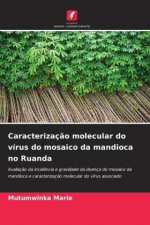 Caracterizaç?o molecular do vírus do mosaico da mandioca no Ruanda