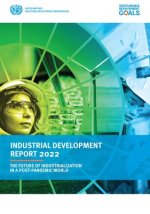 Industrial development report 2022