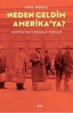 Neden Geldim Amerikaya