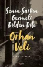 Senin Sarkin Gezmeli Dilden Dile