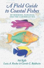Field Guide to Coastal Fishes of Bermuda, Bahamas, and the Caribbean Sea