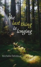 Last Thing Is Longing