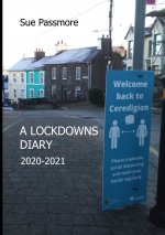 Lockdowns Diary 2020 - 2021