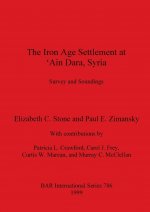 Iron Age Settlement at 'Ain Dara Syria: Survey and Soundings