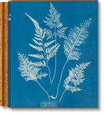 ANNA ATKINS CYANOTYPES