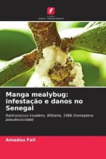 Manga mealybug: infestaç?o e danos no Senegal