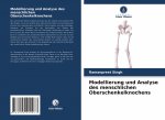 Modellierung und Analyse des menschlichen Oberschenkelknochens
