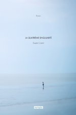 LA QUATRIEME SINGULARITE