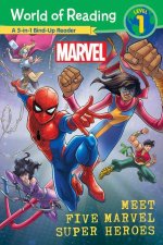 World of Reading: Meet Five Marvel Super Heroes