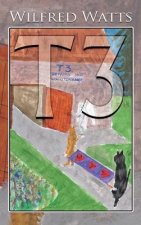T3