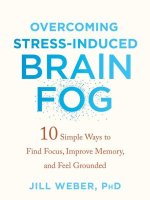 Overcoming Stress-Induced Brain Fog