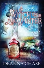 Witch For Mr. Winter