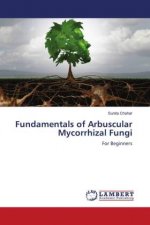 Fundamentals of Arbuscular Mycorrhizal Fungi