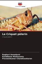 Le Criquet p?lerin