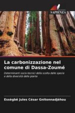 La carbonizzazione nel comune di Dassa-Zoumé