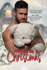 Biker's Little for Christmas