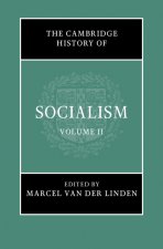Cambridge History of Socialism
