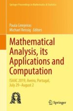 Mathematical Analysis, its Applications and Computation