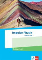 Impulse Physik Oberstufe