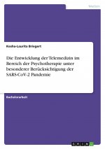 Die Entwicklung der Telemedizin im Bereich der Psychotherapie unter besonderer Berücksichtigung der SARS-CoV-2 Pandemie
