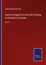 History of England from the Fall of Wolsey to the Death of Elizabeth